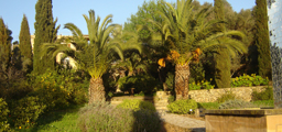 mallorca kochen 3